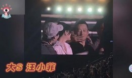 宠妻人设爆料最新章节,总裁的独家宠爱最新章节揭秘，甜蜜升级！